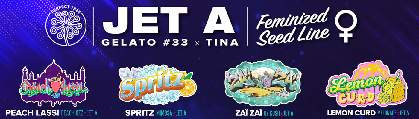 Jet-A Female Line 