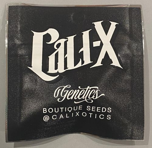 OZX x Biscoff Feminized Cannabis Seeds By Cali-X Seeds