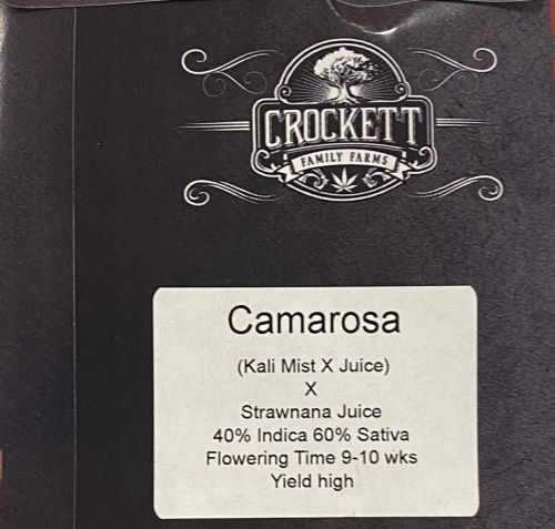 Camarosa Regular Cannabis Seeds by Crockett Family Farms