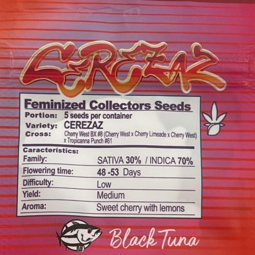 Cerezaz Female Cannabis Seeds by Black Tuna Seeds