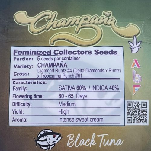 Champaña Female Cannabis Seeds by Black Tuna Seeds