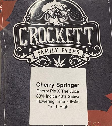 Cherry Springer Regular Cannabis Seeds by Crockett Family Farms