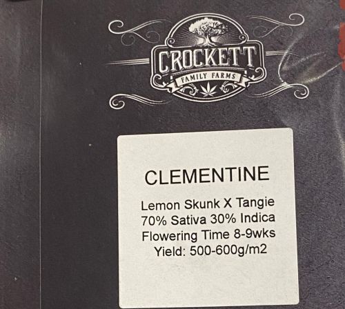 Clementine Regular Cannabis Seeds by Crockett Family Farms