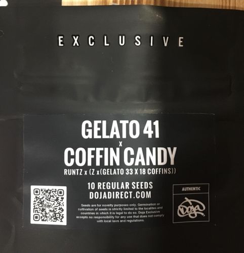 GELATO 41 X COFFIN CANDY Regular Cannabis Seeds by Doja