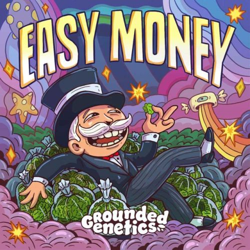Easy Money Female Seeds by Grounded Genetics