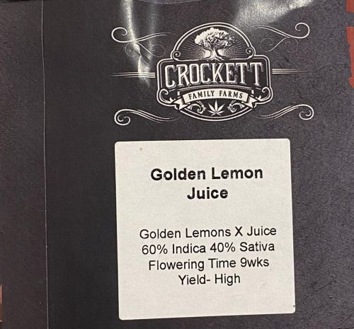 Golden Lemon Juice Regular Cannabis Seeds by Crockett Family Farms
