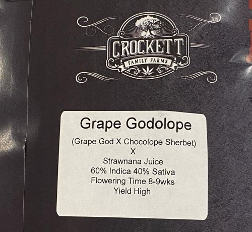 Grape Godolope Regular Cannabis Seeds by Crockett Family Farms