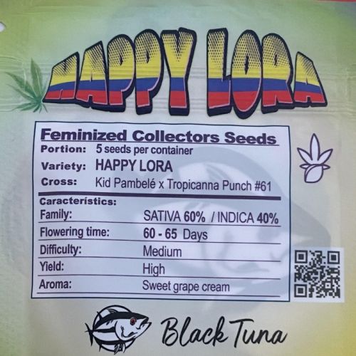 Happy Lora Female Cannabis Seeds by Black Tuna Seeds