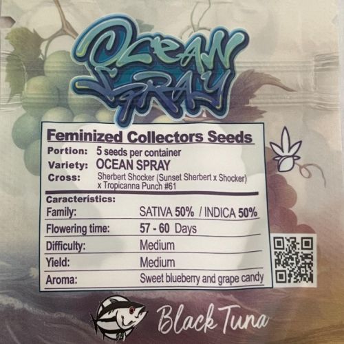 Ocean Spray F1 Female Cannabis Seeds by Black Tuna Seeds