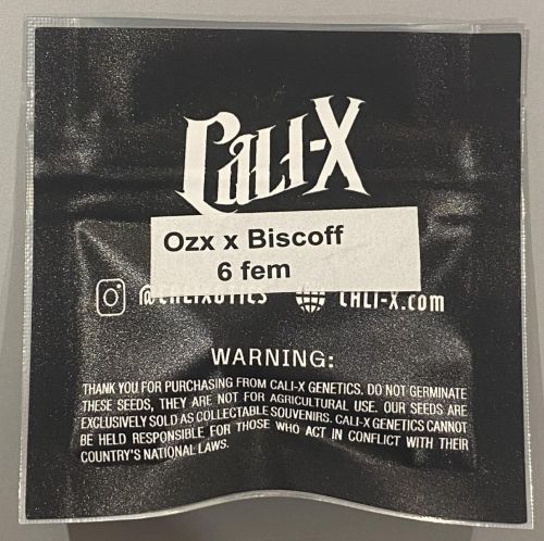 OZX x Biscoff Feminized Cannabis Seeds By Cali-X Seeds