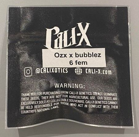 OZX x Bubblez Feminized Cannabis Seeds By Cali-X Seeds