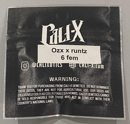 OZX x Runtz Feminized Cannabis Seeds By Cali-X Seeds