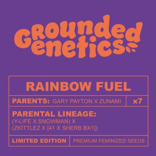 Rainbow Fuel Female Seeds by Grounded Genetics - Limited Edition