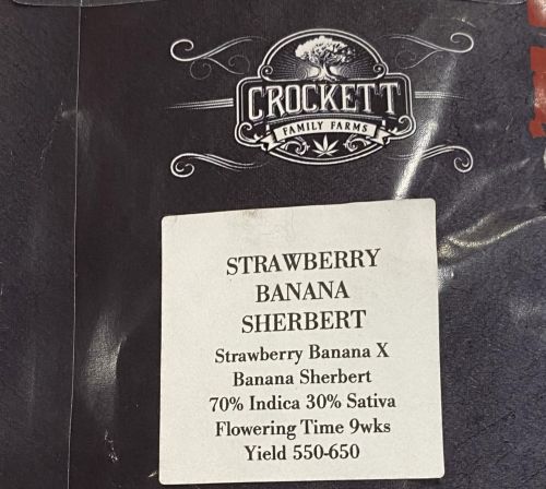 Strawberry Banana Sherbert Regular Cannabis Seeds by Crockett Family Farms