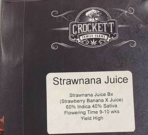 Strawnana Juice Regular Cannabis Seeds by Crockett Family Farms