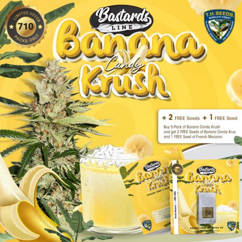 Banana Candy Krush Feminized Cannabis Seeds by T.H Seeds  (Bastards Line)
