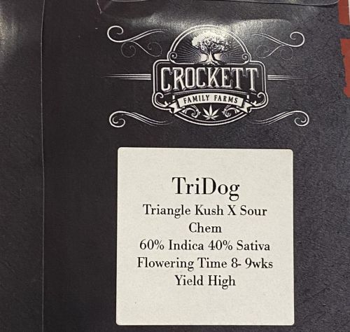 Tridog Regular Cannabis Seeds by Crockett Family Farms