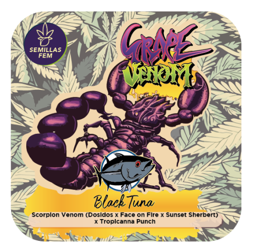 Grape Venom Female Cannabis Seeds by Black Tuna Seeds