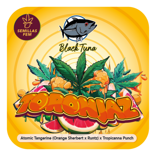 Toronjaz Female Cannabis Seeds by Black Tuna Seeds