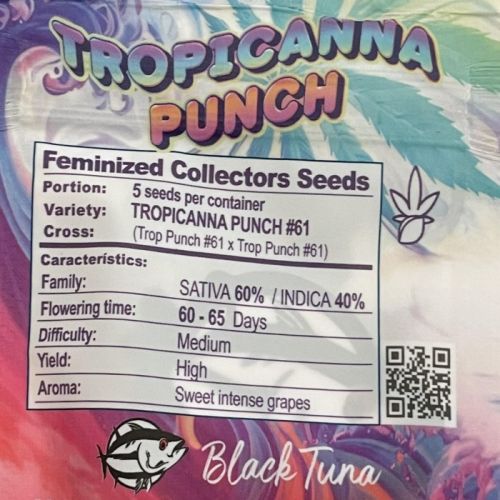 Tropicanna Punch #61 Female Cannabis Seeds by Black Tuna Seeds