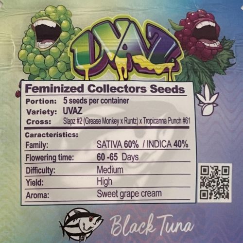 Uvaz Female Cannabis Seeds by Black Tuna Seeds