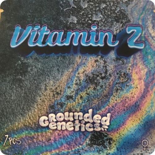 Vitamin Z Female Seeds by Grounded Genetics