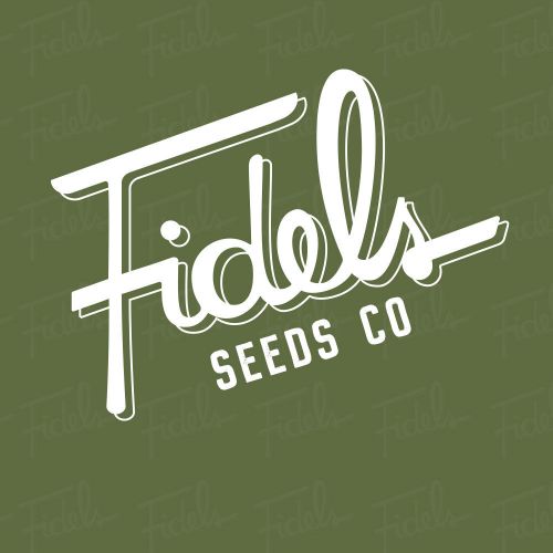 Peaches N' Kush Regular Cannabis Seeds by Fidel's Seed Co