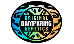 Original Dampkring Genetics